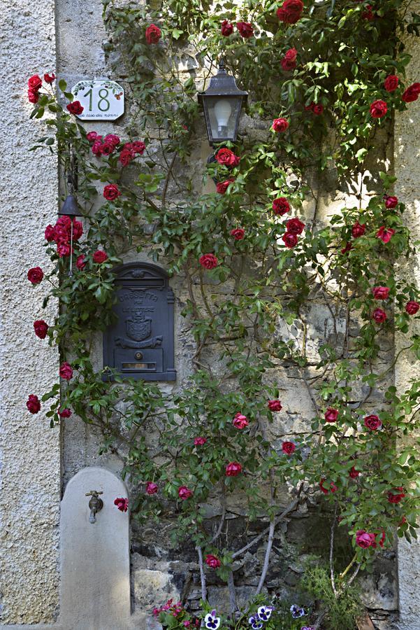 Bed and Breakfast La Casa Dei Nonni Castelbianco Colletta Exterior foto